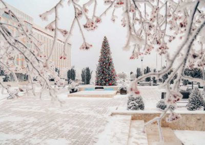 Новогодняя ёлка в санатории Русь Ессентуки - фотография