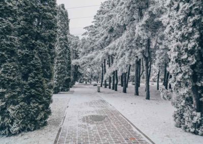 Зимний сквер санатория Русь Ессентуки - фотография
